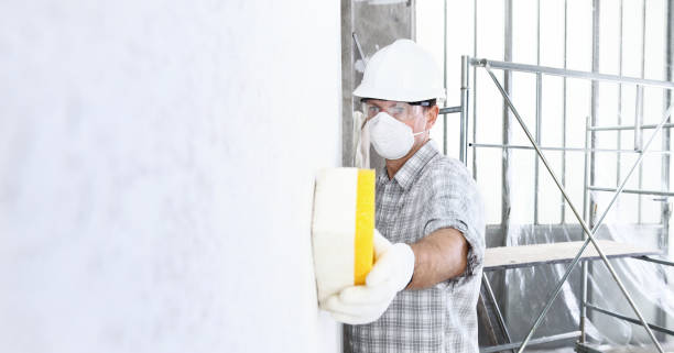 Best Mold Remediation for Healthcare Facilities in Hermosa Beach, CA