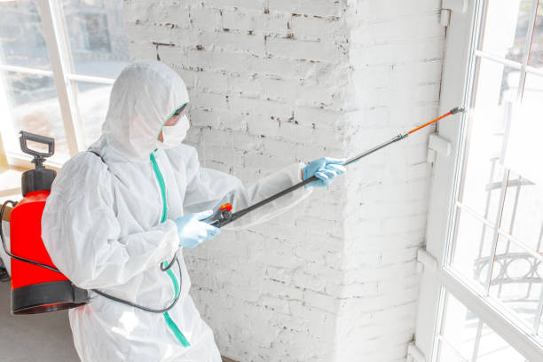 Best Commercial Mold Inspection in Hermosa Beach, CA