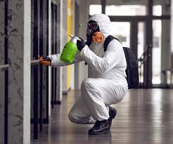 Best Mold Odor Removal Services in Hermosa Beach, CA